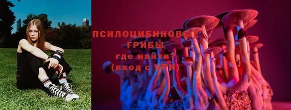 мескалин Арсеньев