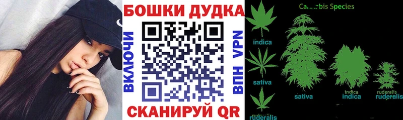 Марихуана SATIVA & INDICA  Чулым 